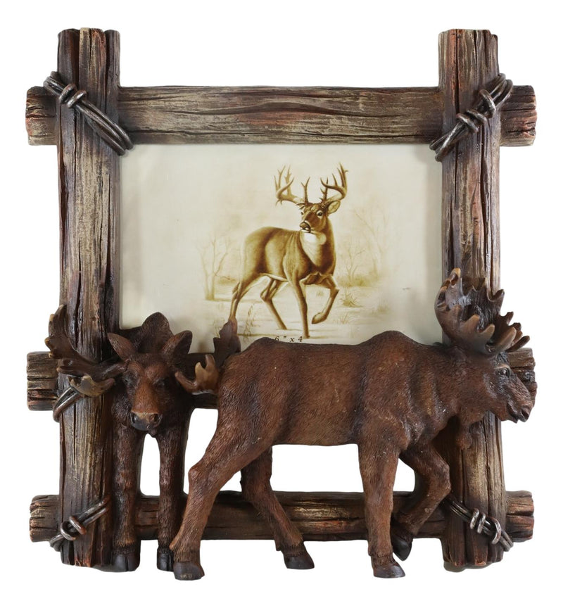 Country Rustic Elk Moose By Faux Barbed Wire Barnwood Easel Picture Frame 4"X6"