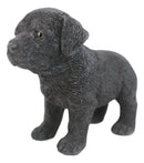 Ebros 6.25"L Realistic Chocolate Labrador Puppy Resin Figurine