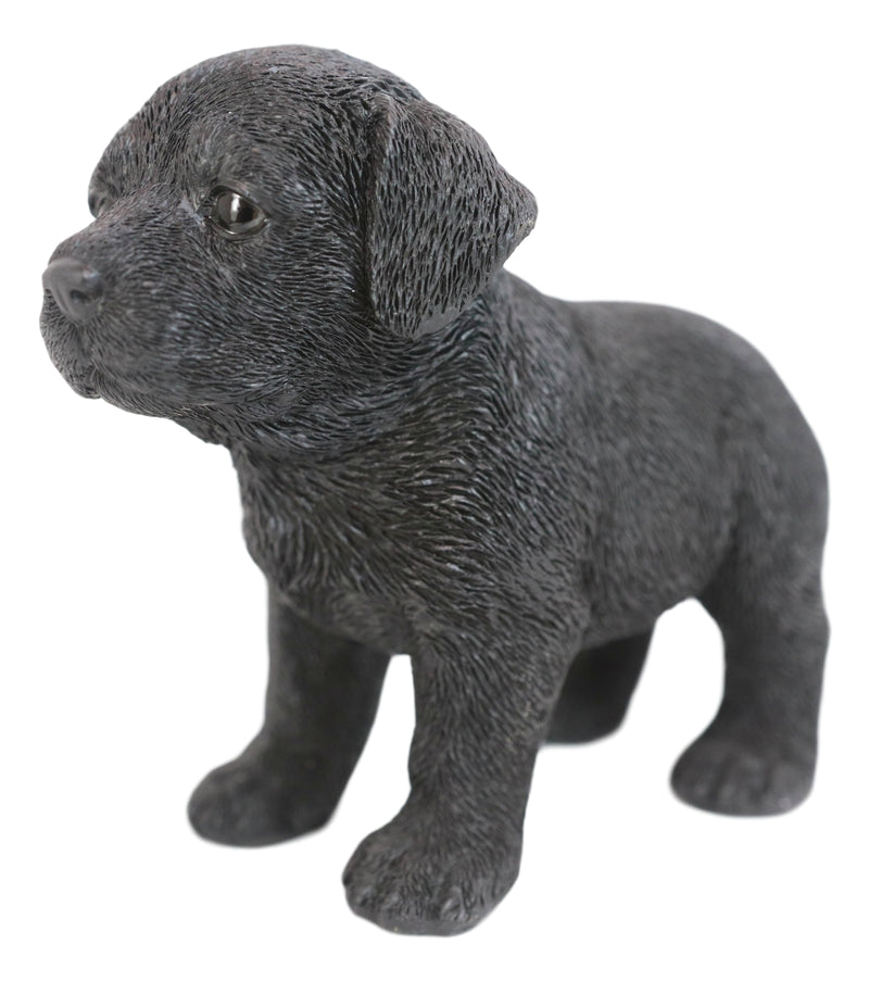 Ebros 6.25"L Realistic Chocolate Labrador Puppy Resin Figurine