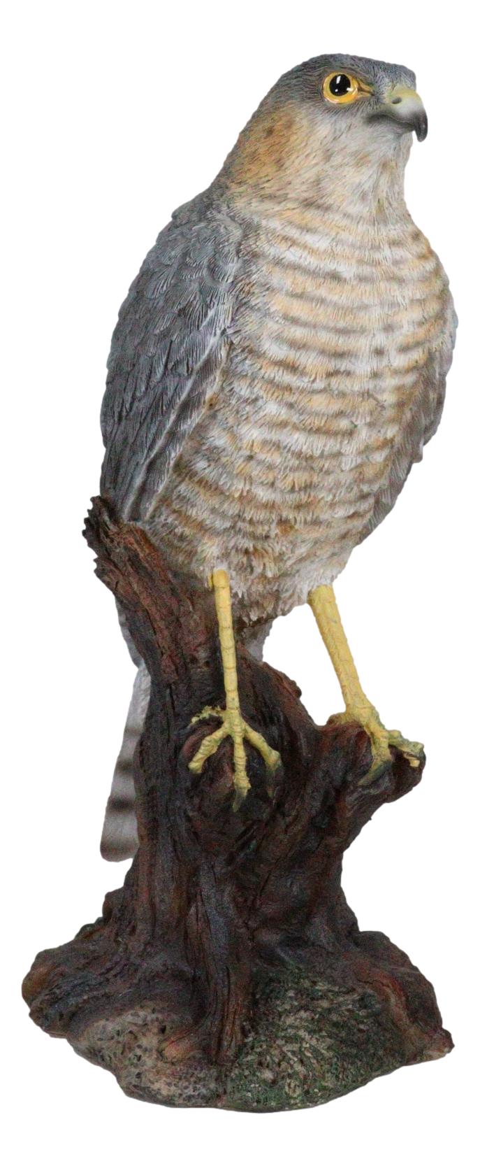 Realistic Hand Painted Eurasian Sparrowhawk Perching On Tree Stump Figurine