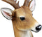 12 Point Buck Trophy Taxidermy Wall Decor Deer Head W/ Antlers Sculpture Plaque