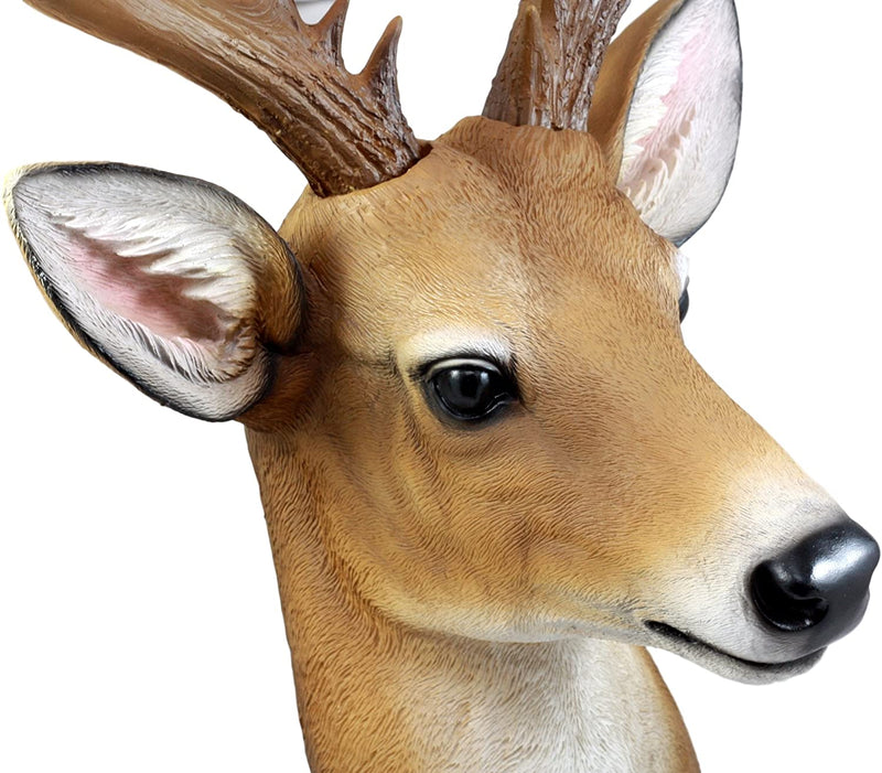 12 Point Buck Trophy Taxidermy Wall Decor Deer Head W/ Antlers Sculpture Plaque