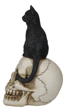 Witching Hour Black Feline Mystical Cat Sitting On Skull Wicca Macabre Figurine