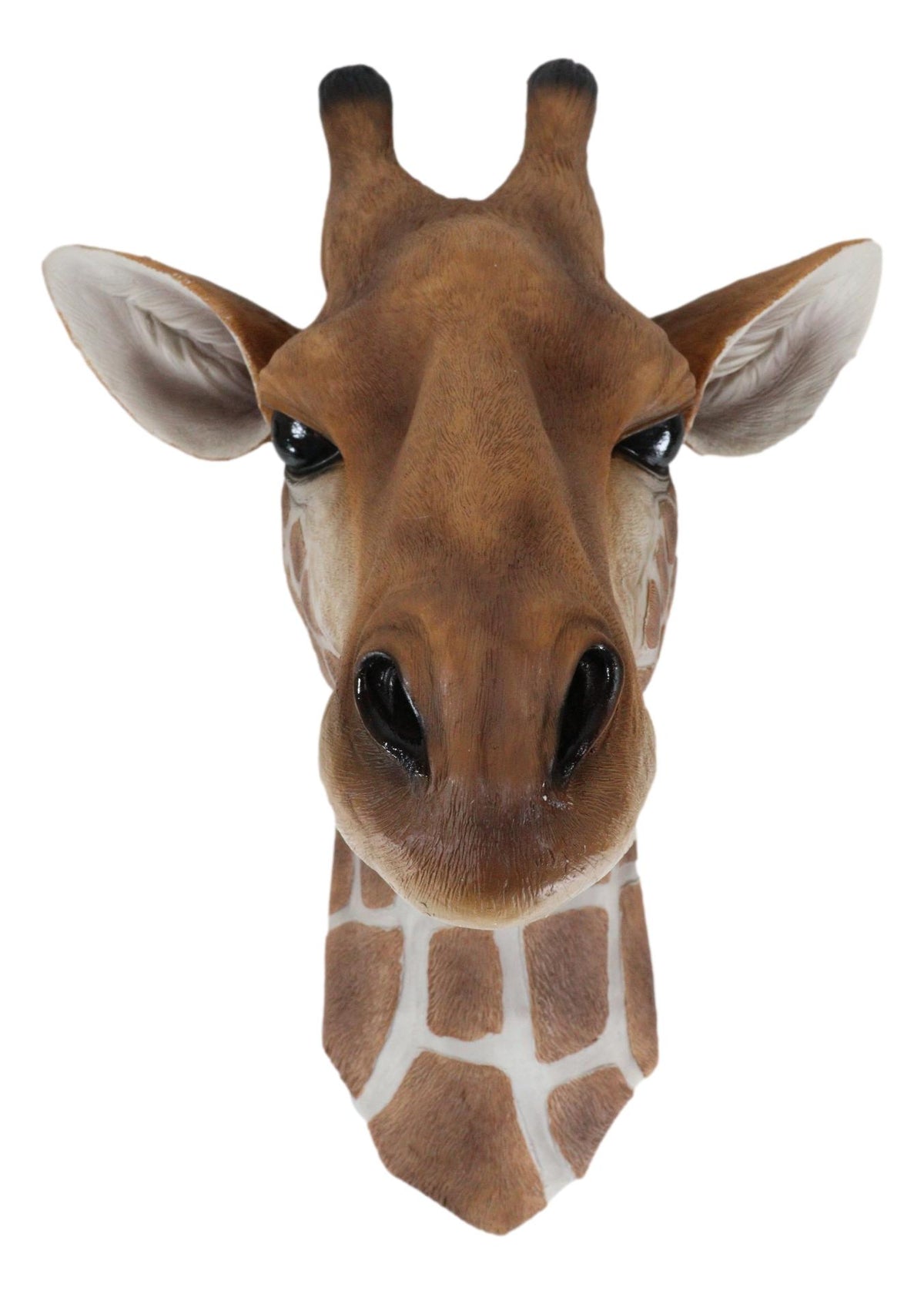 Ebros Safari Giraffe Head Trophy Taxidermy Wall Decor Sculpture Hanging Plaque