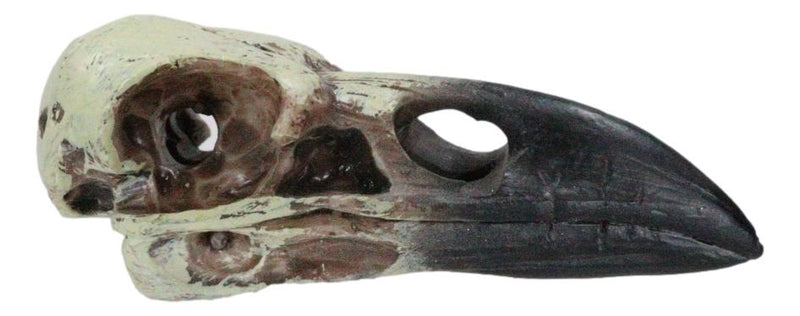 Gothic Reliquary Raven Crow Skull Small Pendant Sacred Talisman Macabre Figurine