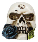 Gothic Tango Vampire Skull Biting Black Rose Stalk Mini Dark Alchemy Figurine