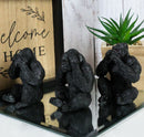 Ebros See Hear Speak No Evil Silverback Gorillas Figurine 3" Height Set of 3