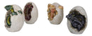 Ebros Set of 4 Fossil Dragon Hatchlings Breaking Out of Egg Shell Figurines 5" H