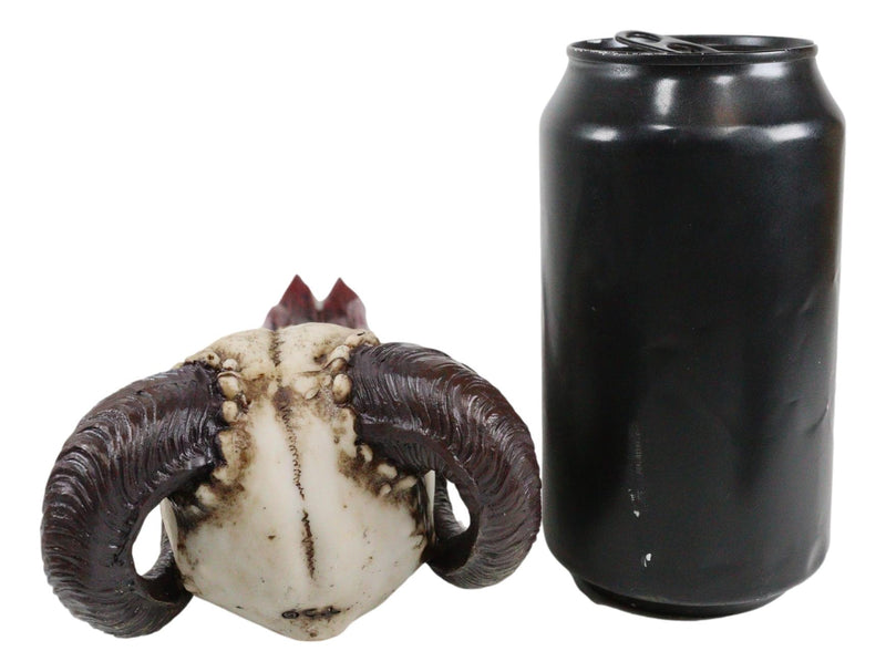 Ebros Goth Vampire Fanged Ram Horned Skull Demon Tongue Incense Stick Holder Figurine