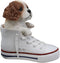 Ebros 'Paw-Star' Pups King Charles Spaniel in Sneaker with Glass Eyes Figurine