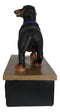 Award Trophy Dachshund Puppy Dog With Gold Medal Standing On Stage Figurine