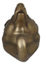 Ebros Rustic Bronzed Grizzly Bear Wall Hook Hanger 7.25" Tall for Light Duty Weight
