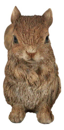 Ebros Standing Chipmunk Squirrel Resin Statue 6.25" Tall Faux Driftwood Finish