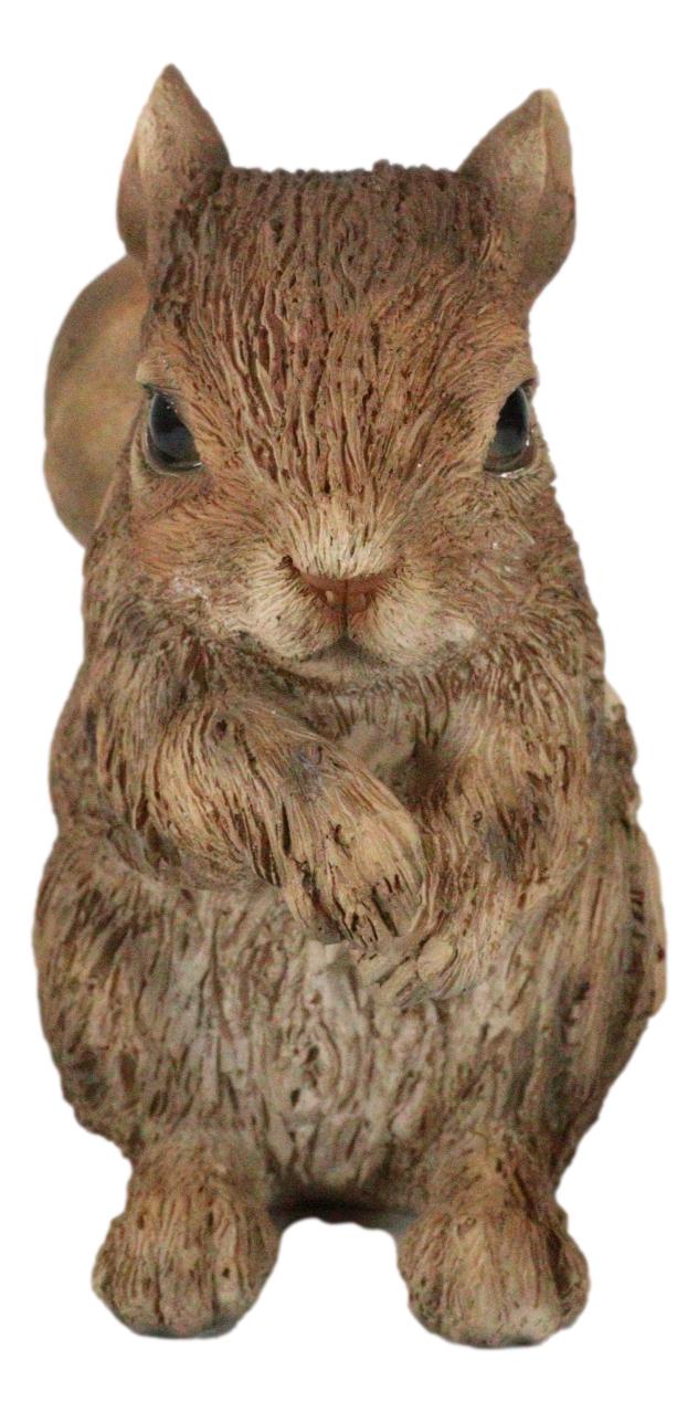 Ebros Standing Chipmunk Squirrel Resin Statue 6.25" Tall Faux Driftwood Finish