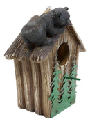 Rustic Black Bear Cub Climbing Pine Trees Birdhouse Roof Hanging Bird Feeder