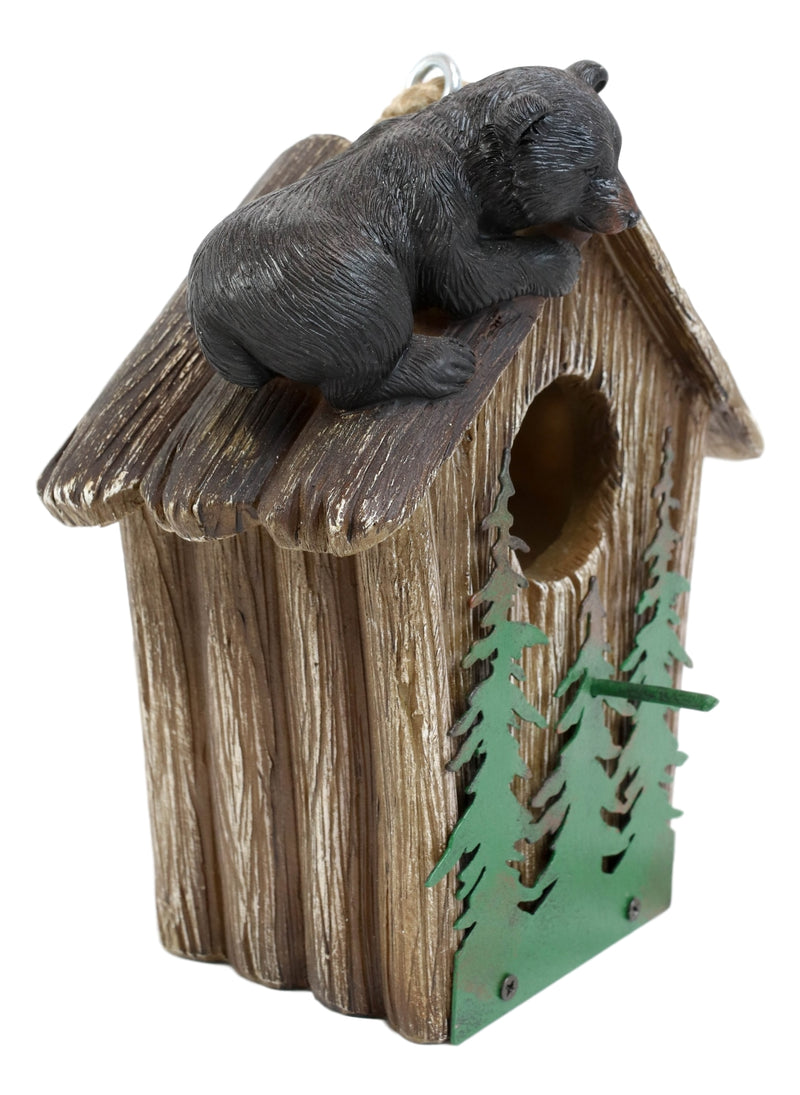Rustic Black Bear Cub Climbing Pine Trees Birdhouse Roof Hanging Bird Feeder