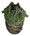 Ebros Greenman Dryad Tree Hydra 4 Headed Dragon Aroma Oil Diffuser With LED Lights
