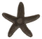 Ebros Cast Iron Ocean Coral Sea Star Shell Starfish Decorative Accent Statue in Rustic Bronze Finish 4.5" Wide Nautical Coastal Themed Decor for Wedding Beach Party Home Decorations DIY Crafts (2)