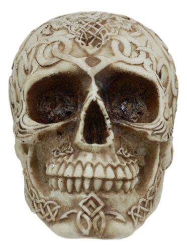 Celtic Astrology Tribal Knotwork Tattoo Relic Skull Statue 6"L Skeleton Cranium