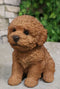 Ebros Sitting Lifelike Realistic Brown Bichon Frise Puppy Dog Statue 6.75" High