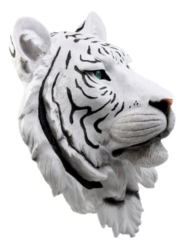 Rare Blue Eyed White Tiger Wall Bust Sculpture Blue Ice Predator Forest Figurine - Ebros Gift