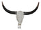 Western Tooled Filigree Longhorn Steer Cow Aged Bone Skull LED Light Wall Decor