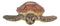 Ebros Coastal Swimming Brown Sea Turtle Wall Decor Hanging Plaque 11.25" Long