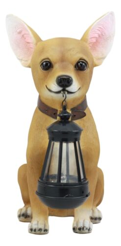 Picante Mexican Chihuahua Dog Decor Path Lighter Statue With Solar LED Lantern