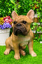 Large Lifelike Realistic French Bulldog Statue With Glass Eyes 15.75"H Frenchie