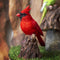 Ebros Cardinal Perching on Branch with Motion Activated Bird Sound Figurine