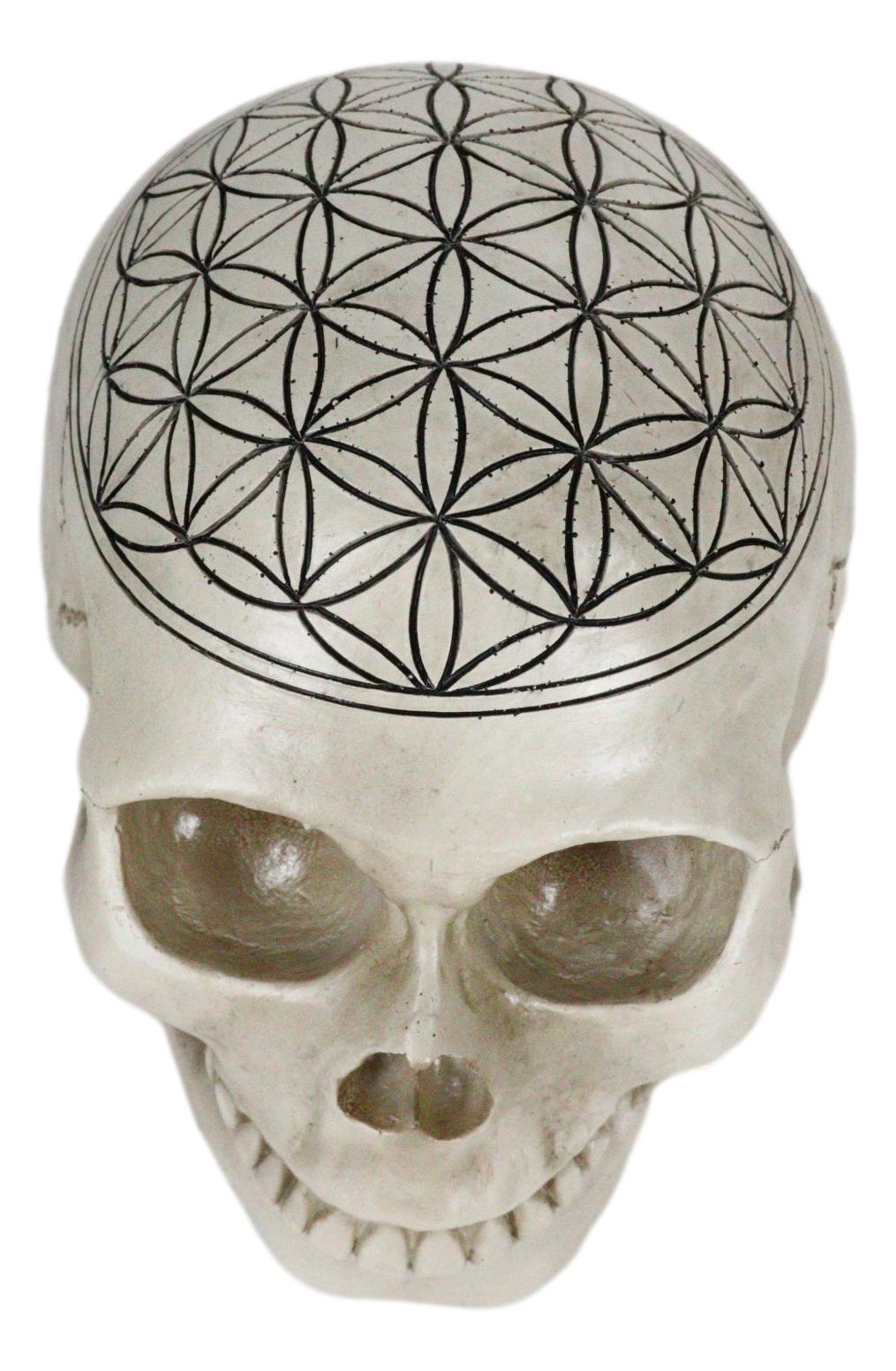 Gothic Sacred Geometry Flower Of Life Creation Cosmic Energy Skull Figurine