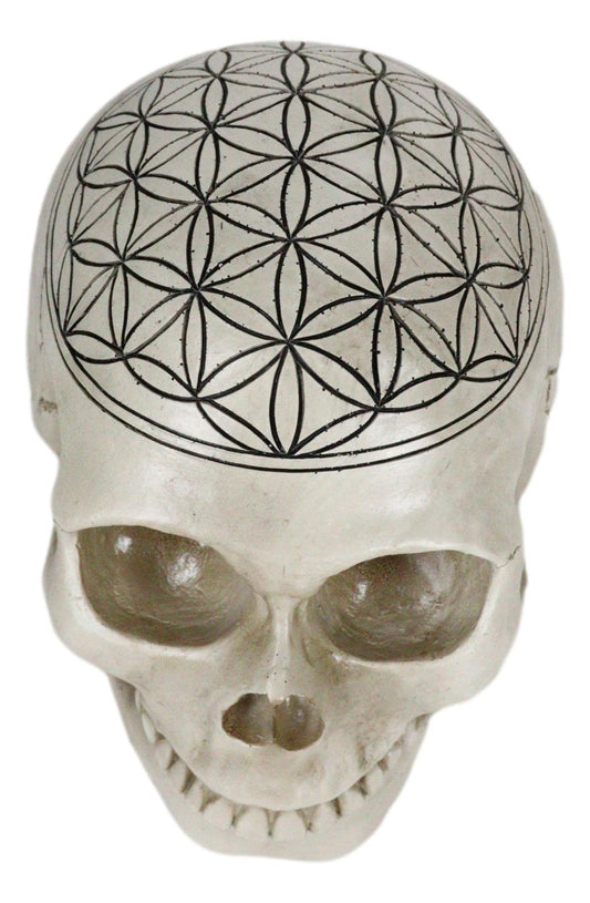 Gothic Sacred Geometry Flower Of Life Creation Cosmic Energy Skull Figurine