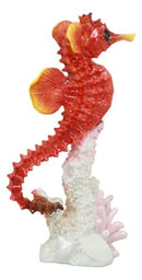 Ebros Ocean Marine Sea Life Red Seahorse Swimming Over Coral Reef Statue 9"H