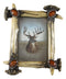 Rustic Buckhorn Stag Deer Antlers With Amber Faux Gems Easel Back Picture Frame