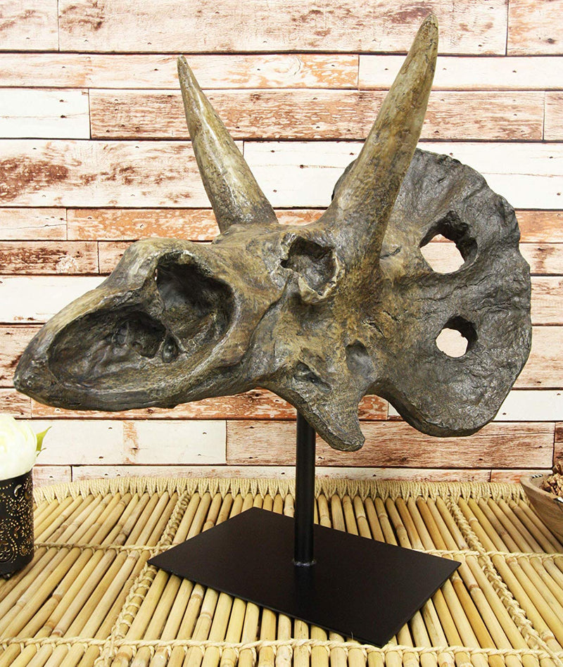 Ebros Prehistoric '3 Horns' Triceratops Dinosaur Fossil Skeleton Statue 22" Tall