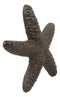 Ebros Cast Iron Ocean Coral Sea Star Shell Starfish Decorative Accent Statue in Rustic Bronze Finish 4.5" Wide Nautical Coastal Themed Decor for Wedding Beach Party Home Decorations DIY Crafts (2)