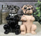 Adorable Black And Tan Begging Love Puppy Pugs Dogs Salt And Pepper Shakers Set
