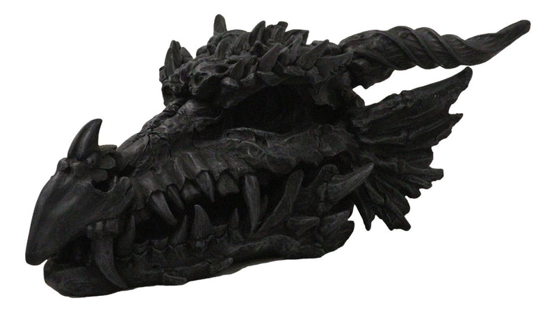 Oversized Giant 27"L Dragon Black Fossil Skull With Horns Grendel Drake Statue
