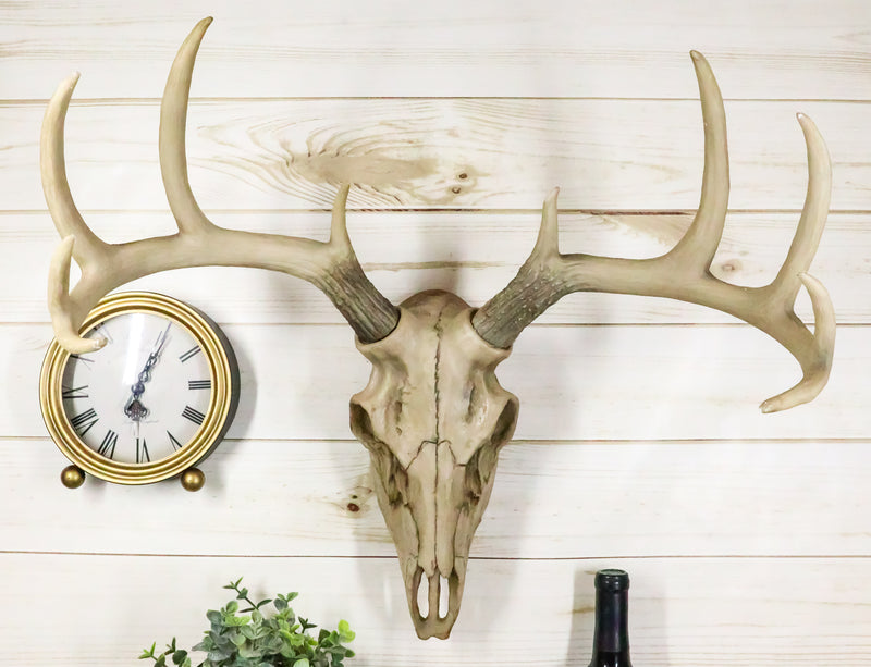 Ebros 18."L 10 Point Buck Head Wall Mount Resin Stag Deer Skull Antler Sculpture - Ebros Gift