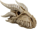 Ebros Dragon Head Skull Realistic Fossil Wall Sculpture Or Desktop Statue 8.25"L