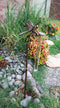 Ebros Aluminum Tropical Dragonfly Rain Gauge Garden Stake