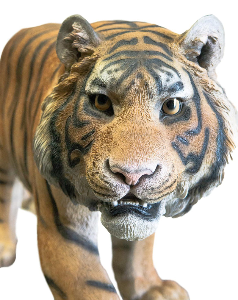 Grand Size 55"Long Majestic Lifelike Jungle Apex Predator Bengal Tiger Statue