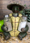 Ebros Slow Seasons Camping Turtle With Wicker Hat Salt And Pepper Shakers 7"H