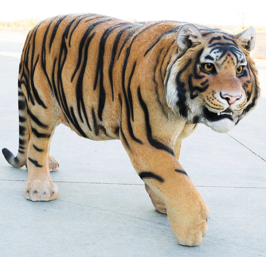 Grand Size 55"Long Majestic Lifelike Jungle Apex Predator Bengal Tiger Statue