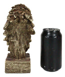 Faux Wood Carving Resin Rustic Wildlife American Bald Eagle Head Bust Figurine