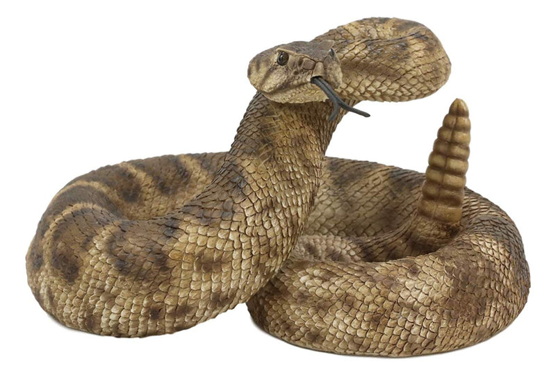 Ebros Realistic Diamondback Rattlesnake Hand Painted Taxidermy Statue 8.25"Long