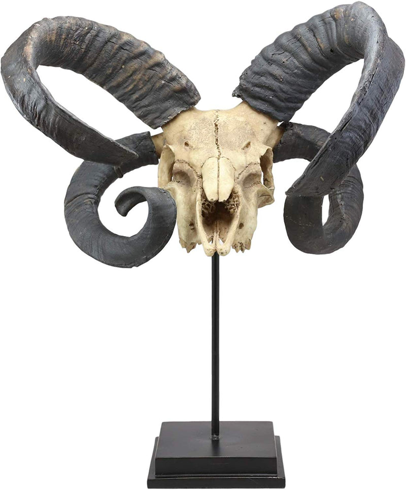 Large Alien Mutated Quad Horns Ram Skull Sculpture On Museum Base Stand 17.25"H