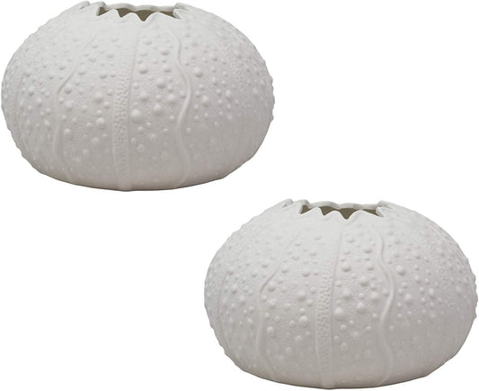 Ebros Gift 7.5" Diameter Large Nautical Ocean Marine Albino White Sea Urchin Shell Ceramic Sculpture Pot As Deep Blue Sea Life Urchins Figurine Decor Accent Seashell (2)