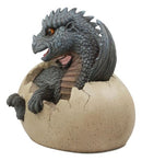 Large Nightfury Baby Dragon Hatchling In Egg Statue 10"Long Legends And Fantasy