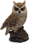 Ebros Gift Eagle Owl Perching on Branch with Singing Bird Sound Figurine 6.5"H